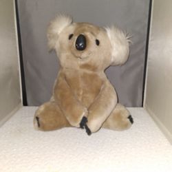 Koala Bear Plush 
