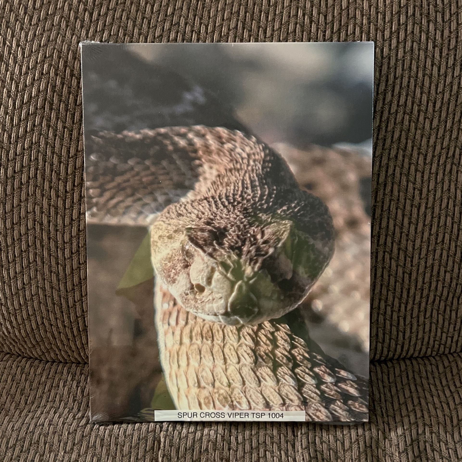 Spur Cross Viper TSP1004