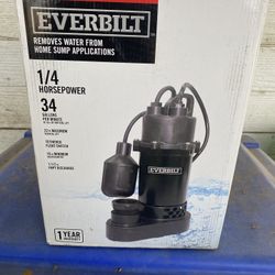 Everbilt Pump