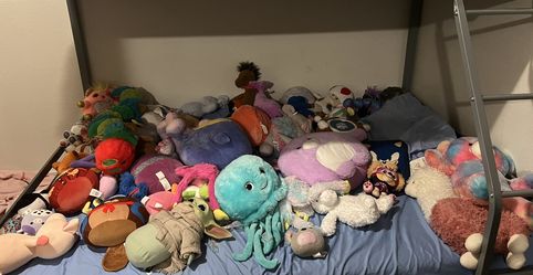 collection