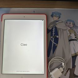 iPad Air 1st Gen + Original Charger