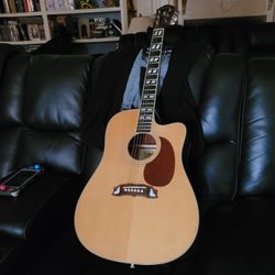 Beautiful Oxen Acoustic Guitar