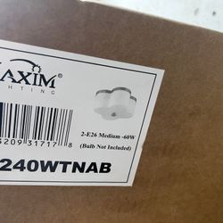 Maxim Surface Mount Light Fixture