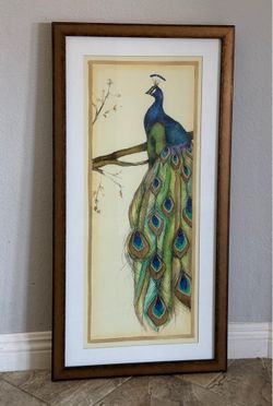 🖼️ Peacock Framed Art