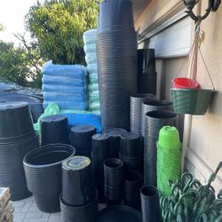 Pots, Perlite, Hanging Baskets