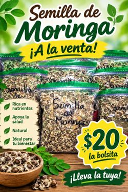 Semilla de moringa