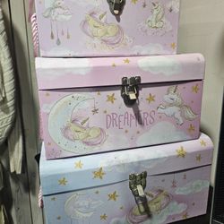 Pink Girls Storage Box 