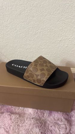 Coach slides