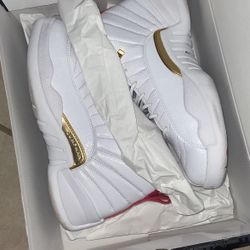 Jordan 12s