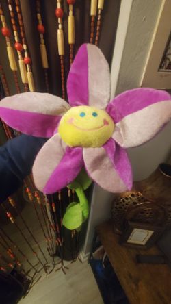 Smiling Sunflower