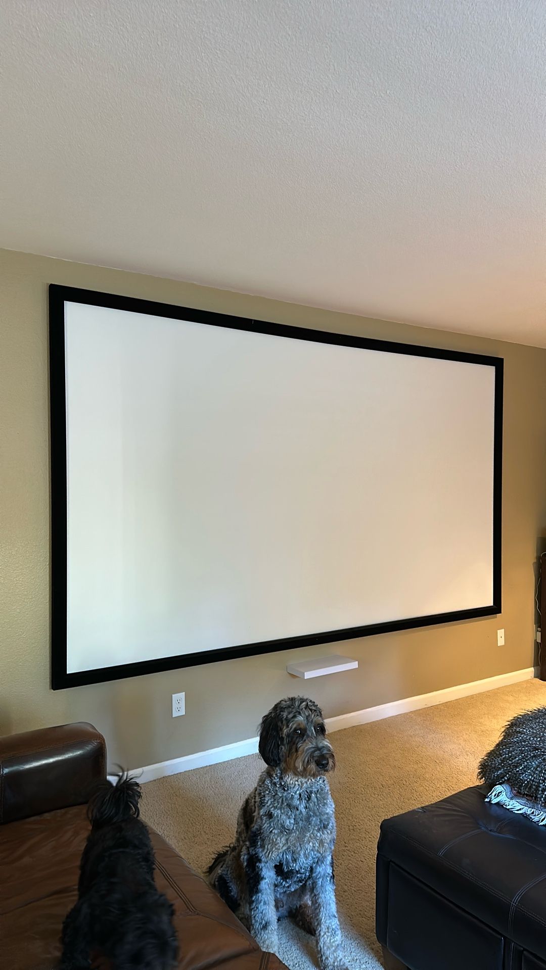 Movie Screen 122.5 X 71 Inches