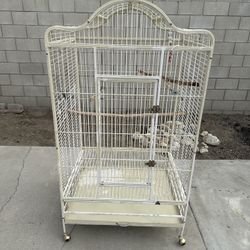 Bird Cage