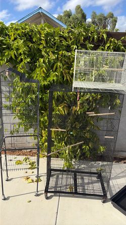 Bird cage