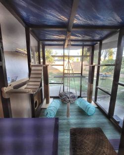 Catio