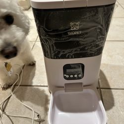 Dog and cat automated feeder