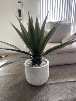 Artificial Plant Decor w/ Vase $100