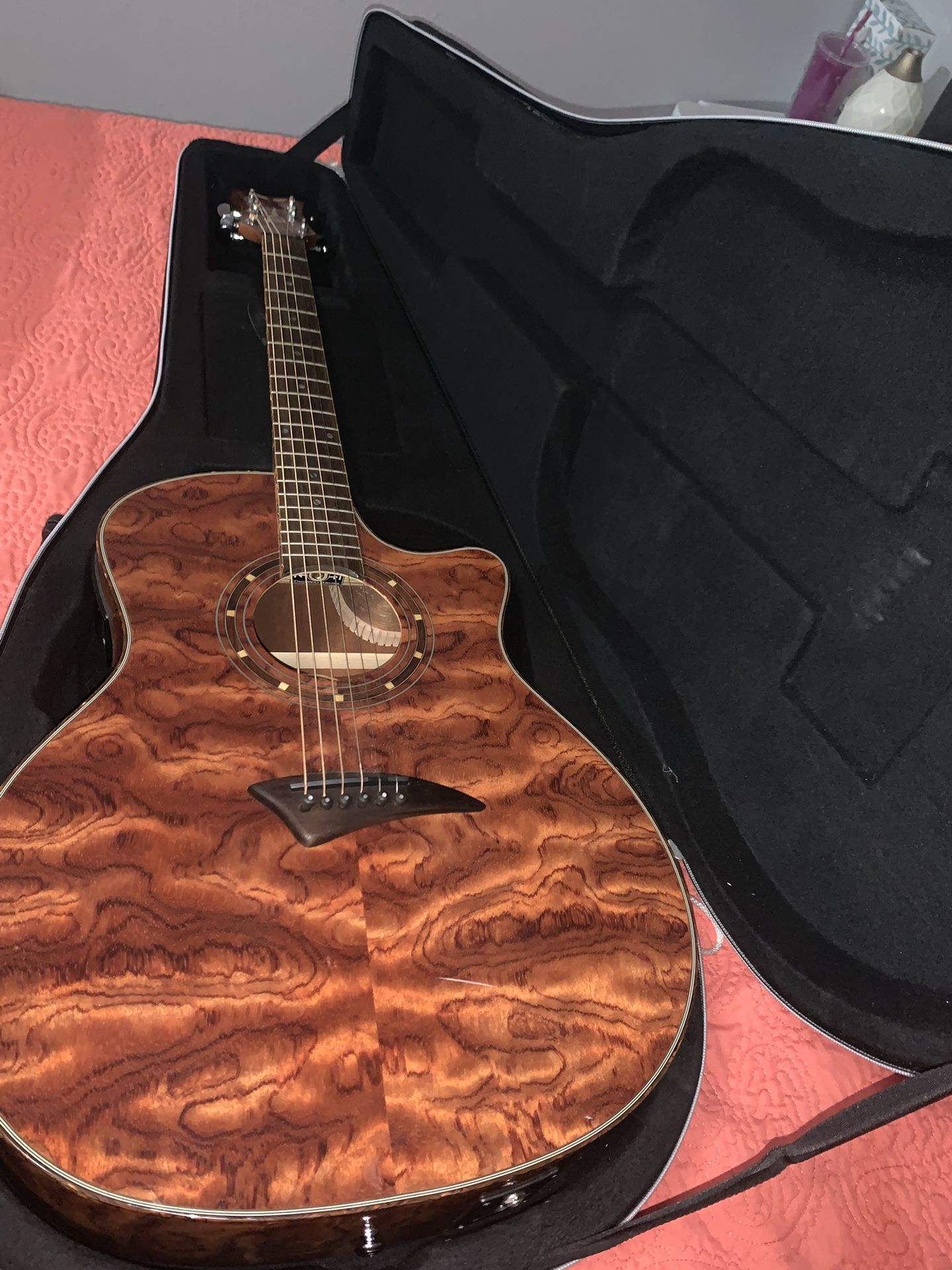 Guitar with Hard Case 