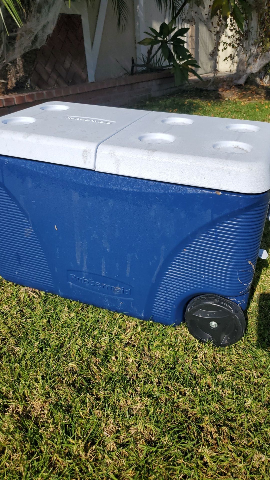 Rubbermaid 5 day 75 quart cooler