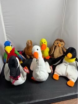 Ty Beanie Babies – Birds Bundle (7)