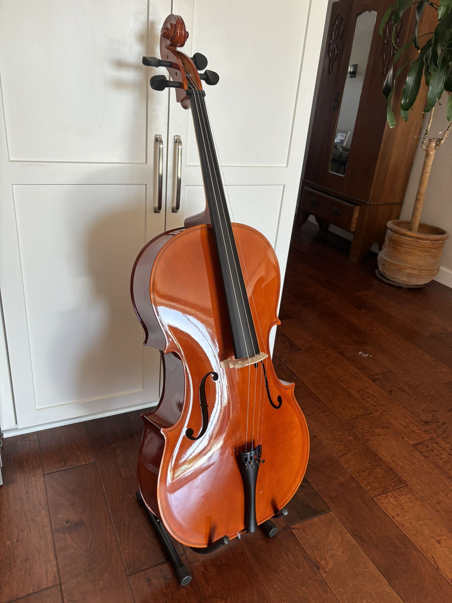 Brand New Cecilio Cello CCO-100 4/4 Bundle