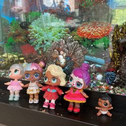 4 Lol dolls and 1 baby lol doll