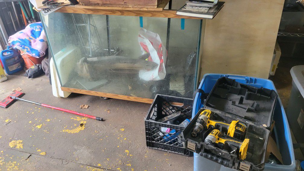 Glass Tank For Reptiles 