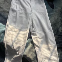 Softball Pants