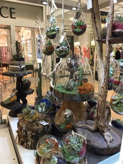 50% off everything Until end of Month!!!!! Galleria Mall Ft Lauderdale