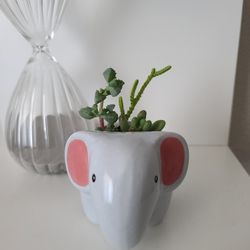Elephant Ceramic Planter with Live Succulents