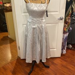 Silver Grey Dress
