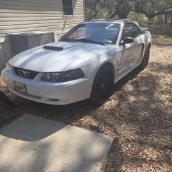 Ford Mustang Gt Convertible 
