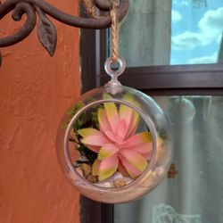 Artificial Succulent