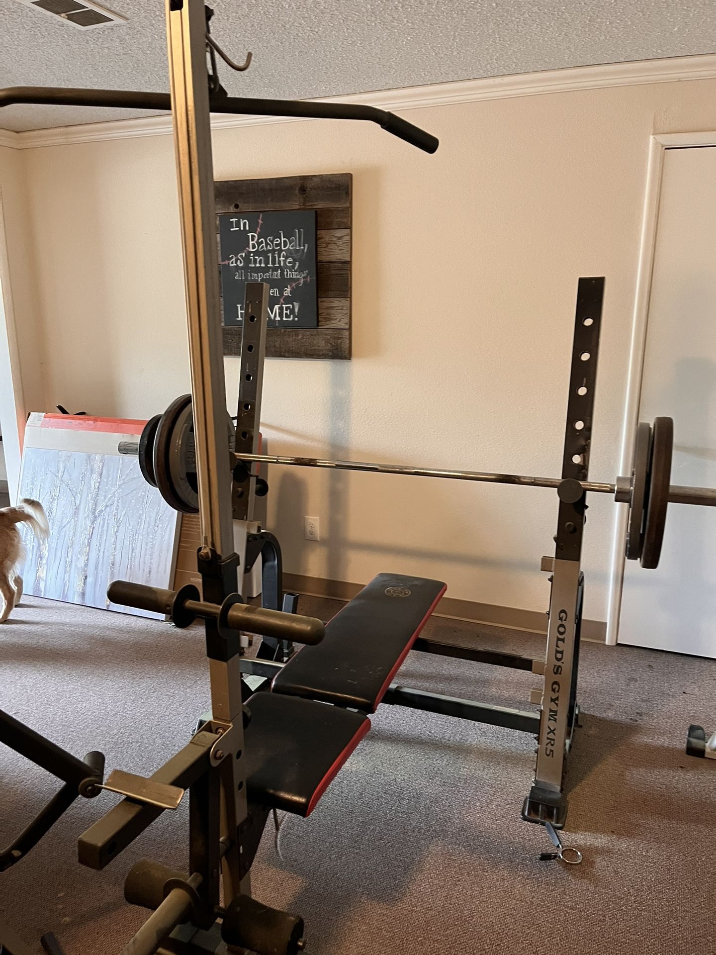 Squat Rack Gold's Gym Bench Bar Weight Squat Rack Folding
