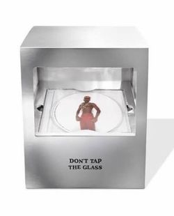 Dont tap the glass box 📦