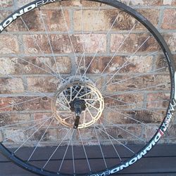 29 Mtb Tubeless Ready Rims 