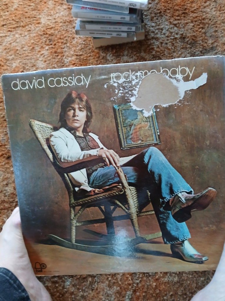 David Cassidy Vinyl Record