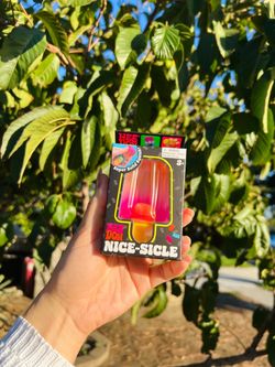 Nee Doh Nice-Sicle Squishy Toy