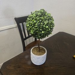 Artificial Plant. 2x25