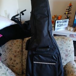 Guitars spectrum six string case zippered Instruments musical.