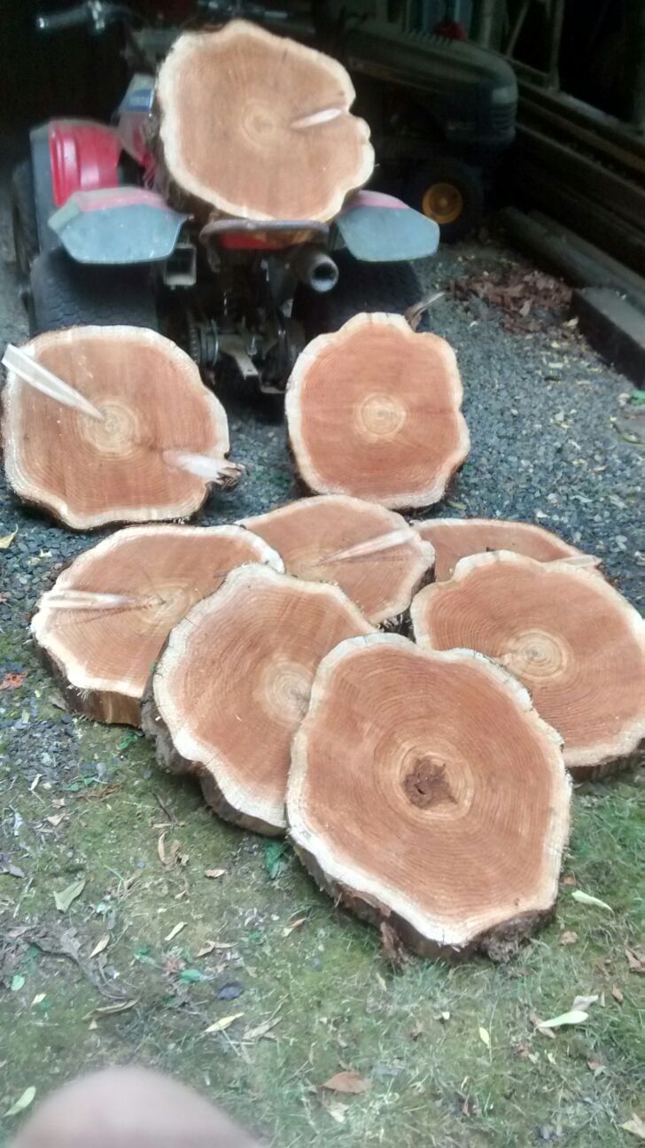 Cedar stepping blocks.