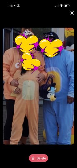 Bluey costumes