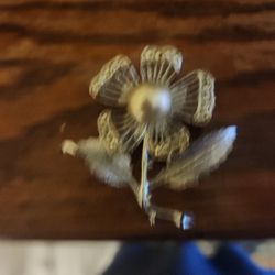 Vintage Sarah Coventry Pin