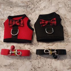 S Harness and Leash 