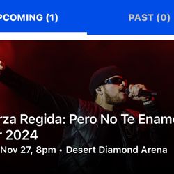 Fuerza Regida concert 