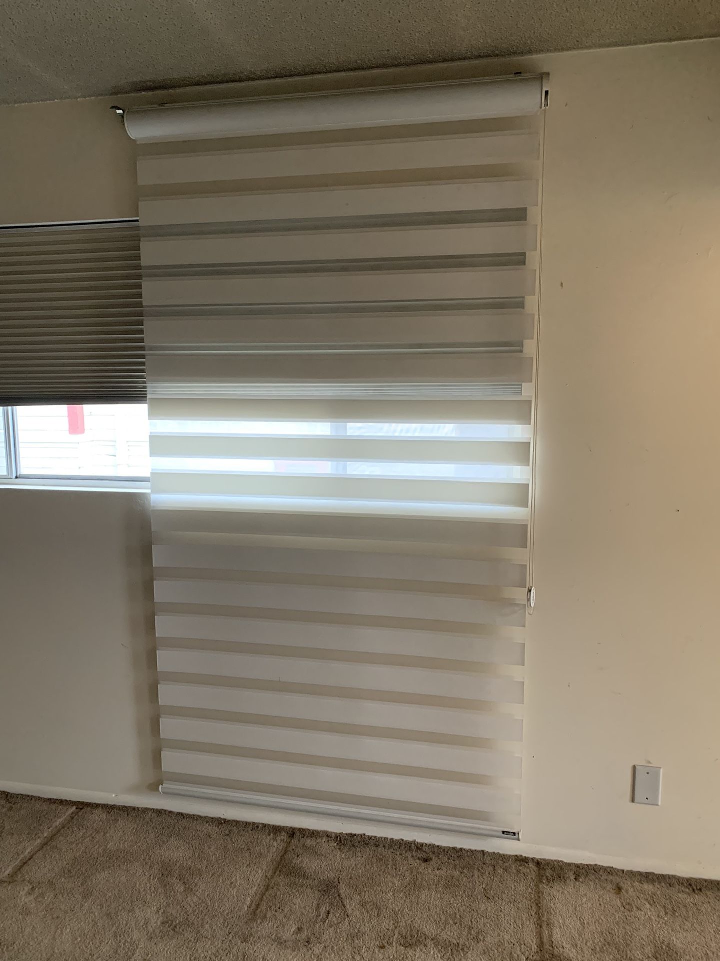Eiwin Privacy Roller Shade
