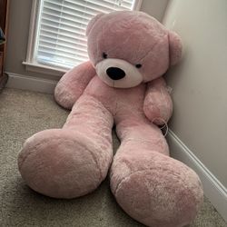 Big Pink Teddy Bear