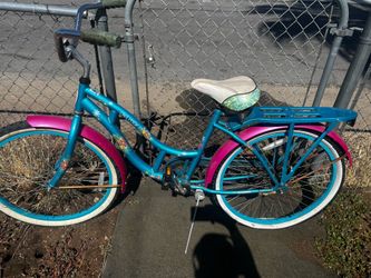Adult Women’s Bike