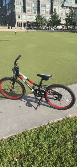 Guardian 20 inch bike