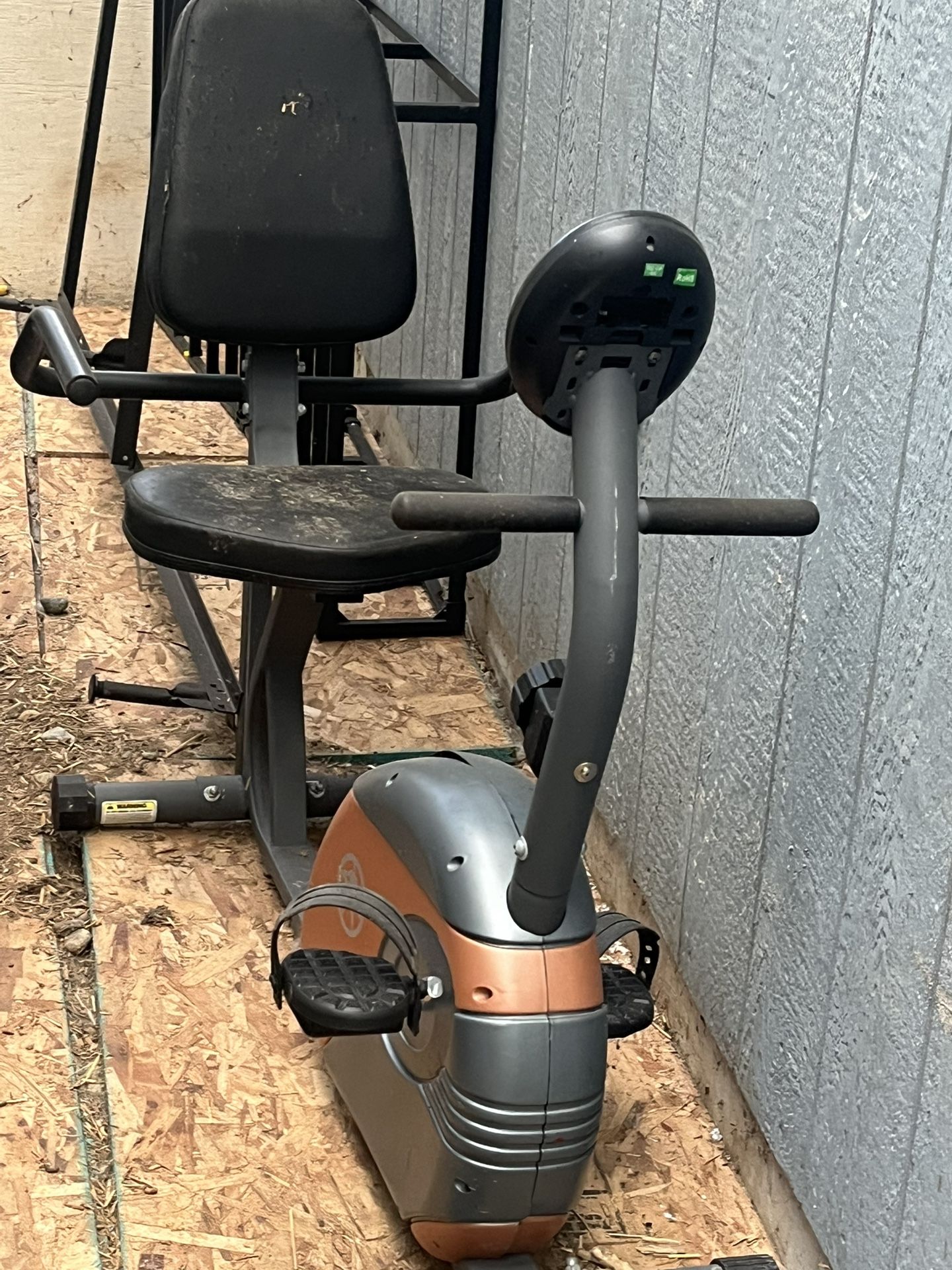 Free Recumbent Exercise Bike 