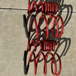 Skunk2 Lowering Springs 